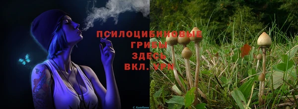 гашиш Няндома